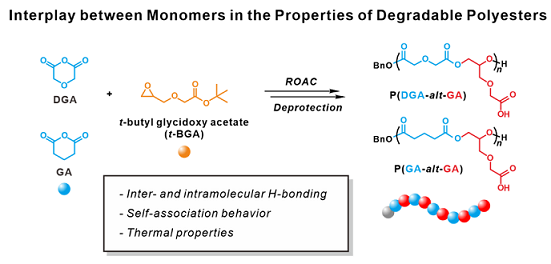 TailoringtheInterplaybetweenTwoMonomersinthePropertiesofDegradablePolyestersSynthesizedviaRing-OpeningAlternatingCopolymerization.png