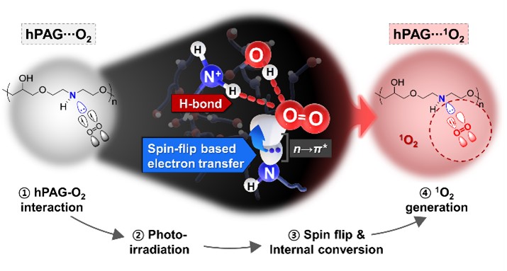 Singlet Oxygen Generation from Polyaminoglycerol by Spin-Flip-Based Electron Transfer