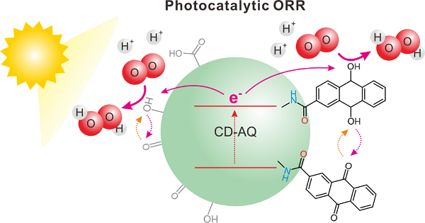 Solar-to-hydrogen peroxide conversion of photocatalytic carbon dots with anthraquinone: Unveiling the dual role of surface functionalities
