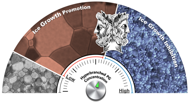 Janus Regulation of Ice Growth by Hyperbranched Polyglycerols Generating Dynamic Hydrogen Bonding