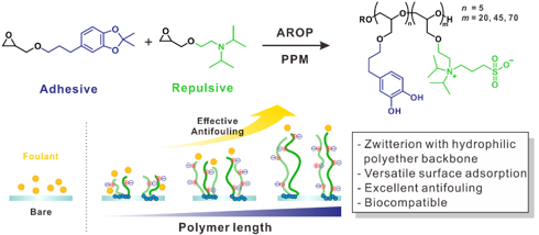 Mussel-Inspired Zwitterionic Copolyethers for Antifouling Biomedical Surfaces