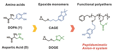 Synergistic Anion-π Interactions in Peptidomimetic Polyethers