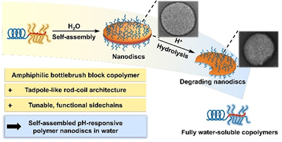 Self-Assembly of Amorphous 2D Polymer Nanodiscs with Tuneable Size, pH-Responsive Degradation and Controlled Drug Release